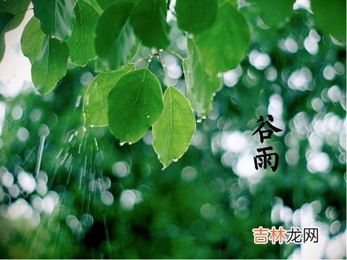 谷雨是什么节气,谷雨是什么节气