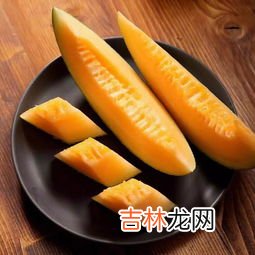 哈密瓜种类,甜瓜种类