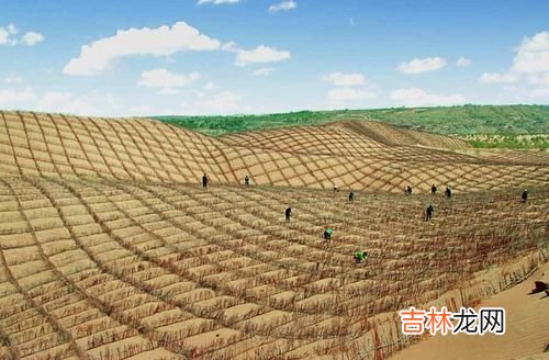 索马里半岛热带沙漠气候的成因,索马里半岛气候类型及成因