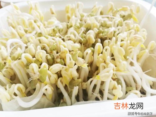 如何生豆芽方法,生豆芽的最佳方法