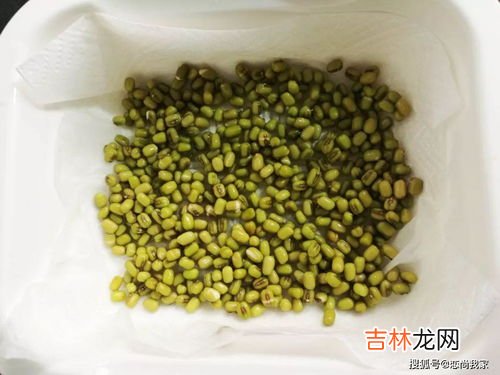 如何生豆芽方法,生豆芽的最佳方法