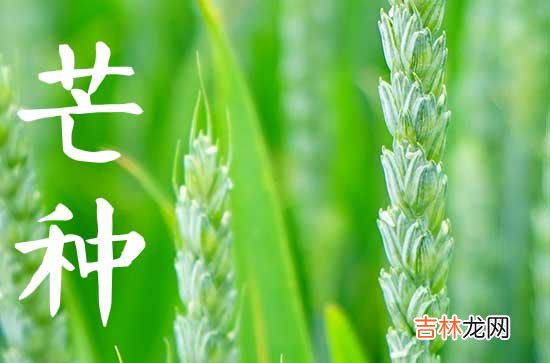 2023年芒种古诗,芒种节气古诗