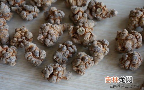 三七20头30头区别,三七怎么分多少头