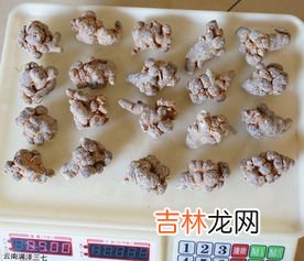 三七20头30头区别,三七怎么分多少头