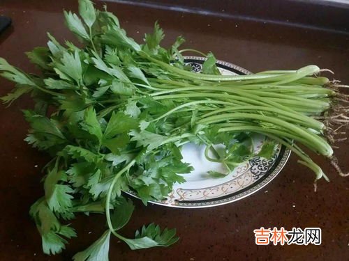 香芹叶子可以吃吗,芹菜叶子能吃吗