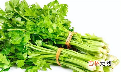 香芹叶子可以吃吗,芹菜叶子能吃吗
