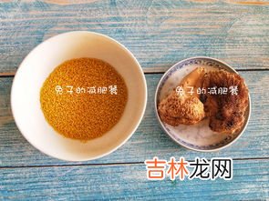 小米粥跟蘑菇犯相吗,小米粥和香菇能一起吃吗