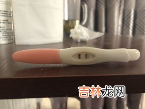 什么是贞操什么意思,什么叫贞操急急~!!!