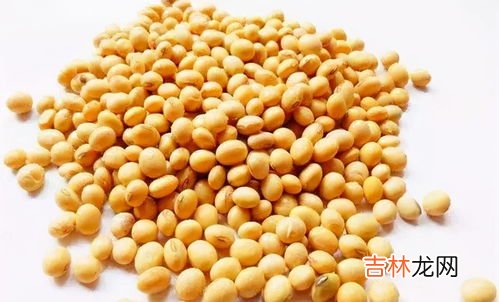 大豆被含多少大豆纤维好,大豆纤维被和蚕丝被哪一个好?