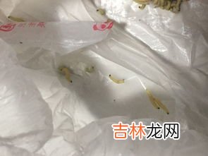 棉胎是盖的还是垫的,新的棉胎为什么要垫睡1-2个星期才能盖