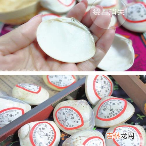 贝壳油蛤蜊油作用,蛤蜊油是什么做的