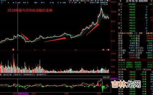 万华化学是私企还是国企,烟台万华是国企还是央企?