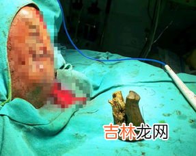 老人去世后头七,三七,五七有什么讲究,人去世后的七个七讲究人去世后的七个七有哪些讲究