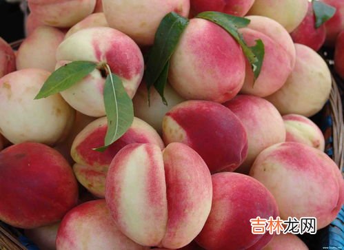 桃子可以不去皮吃吗,桃子要去皮去吃吗