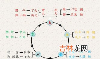 人体运动产生收缩的动力是,人体运动系统的动力