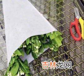 50米叶片一圈多少度电,120米叶片一圈多少度电