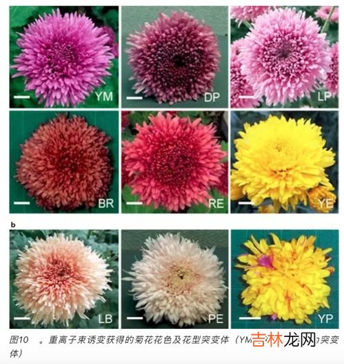 50米叶片一圈多少度电,120米叶片一圈多少度电