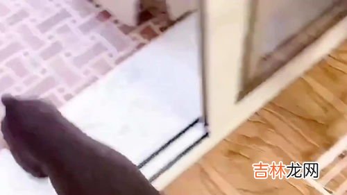 新买的被子要不要洗,刚买的被子要洗的吗
