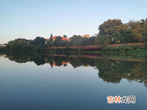 白鹭的颜色介绍,白鹭是什么颜色的