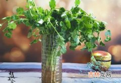 没有冰箱怎么保存香菜,香菜放不住，怎么保存呀？