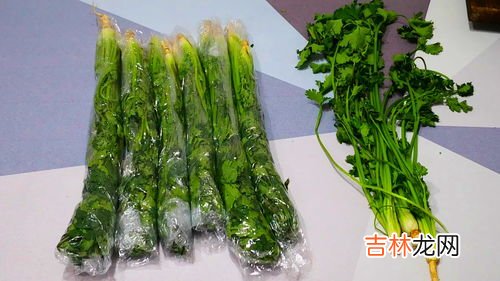 没有冰箱怎么保存香菜,香菜放不住,怎么保存呀?