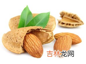 坚果属于什么类型食物,坚果属于碳水化合物吗