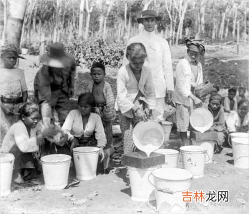 明朝时从南美洲引进的农作物,原产于南美洲明朝时传入我国的粮食作物有