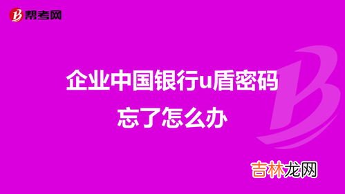 u盾密码忘了怎么办,U盾的密码忘记了怎么办？