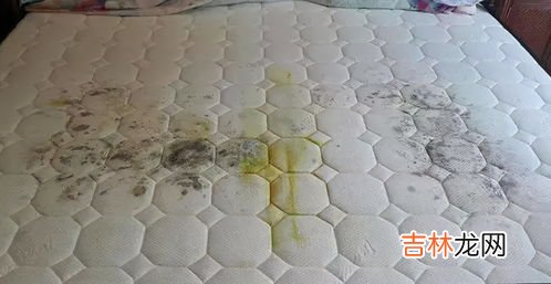 床垫受潮发霉的处理办法,发霉床垫怎么洗掉 床垫发霉如何清洗