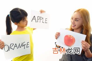 人际互动的语言技巧包括,人际沟通技巧有哪些