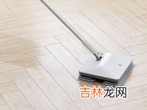 怎么让拖把拖地的时候没有异味,拖把上有腥臭味怎么去除