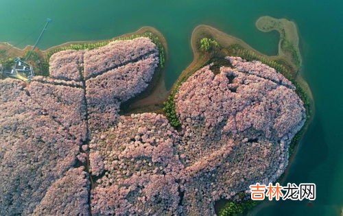 广州气候适合北方人吗,北京 天津 沈阳 西安 成都 广州 哪个地方气候好 , 我是北方人