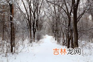 描写雪后景色的一段话,大雪过后的场景的描写