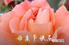 2023母亲节祝福语精选