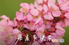 2023母亲节贴心祝福语