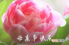 暖暖祝福贴心送 2023母亲节祝福语篇