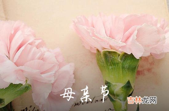 温暖传递 2023母亲节祝福语经典