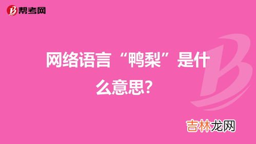 网络语上岸是什么意思,网络词汇的上岸是什么意思?