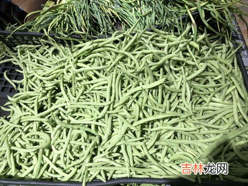 荷兰豆产地及原产地,荷兰豆的原产地是哪里？西门塔尔牛的原产地是哪里？黄瓜，辣椒的原产地各是哪里？