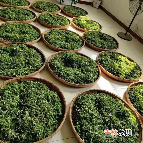 荷兰豆产地及原产地,荷兰豆的原产地是哪里？西门塔尔牛的原产地是哪里？黄瓜，辣椒的原产地各是哪里？