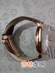 石英表型号怎么看,怎么看石英表用什么型号电池