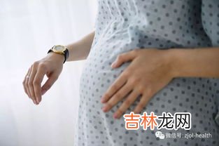 欧洲子宫是哪个国家,乌克兰为什么被称为欧洲的子宫?