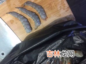 蚯蚓饵料的制作方法,怎样制作蚯蚓饵料