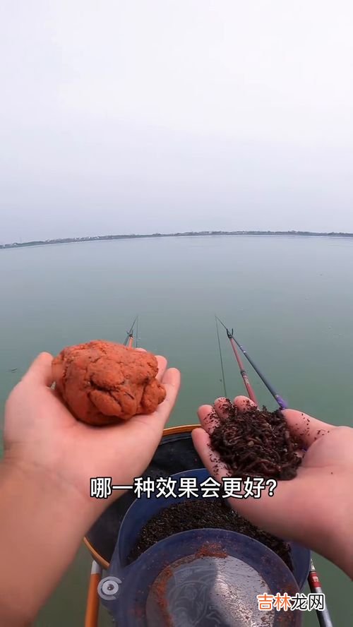 蚯蚓饵料的制作方法,怎样制作蚯蚓饵料