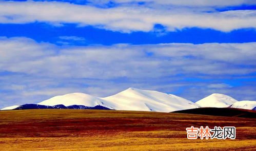 我国最大的高原,我国四大高原面积辽阔、形态各异,其中面积最大的是?