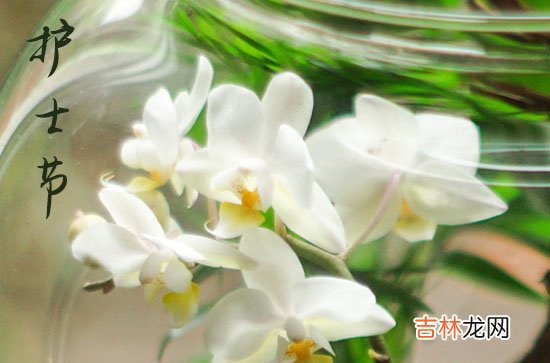 2023护士节快乐短信