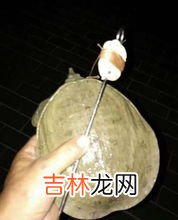 怎么钓甲鱼的方法,钓甲鱼用什么方法最有效