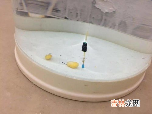 钓大鱼调漂的正确方法,钓鱼调漂的正确方法
