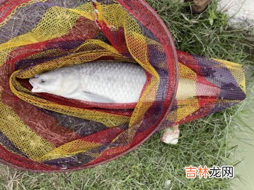 钓大鱼调漂的正确方法,钓鱼调漂的正确方法