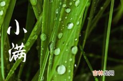 二十四节气2023年小满节气微信祝福语